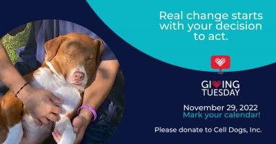 Giving Day Tuesday. Please Donate. November 29
