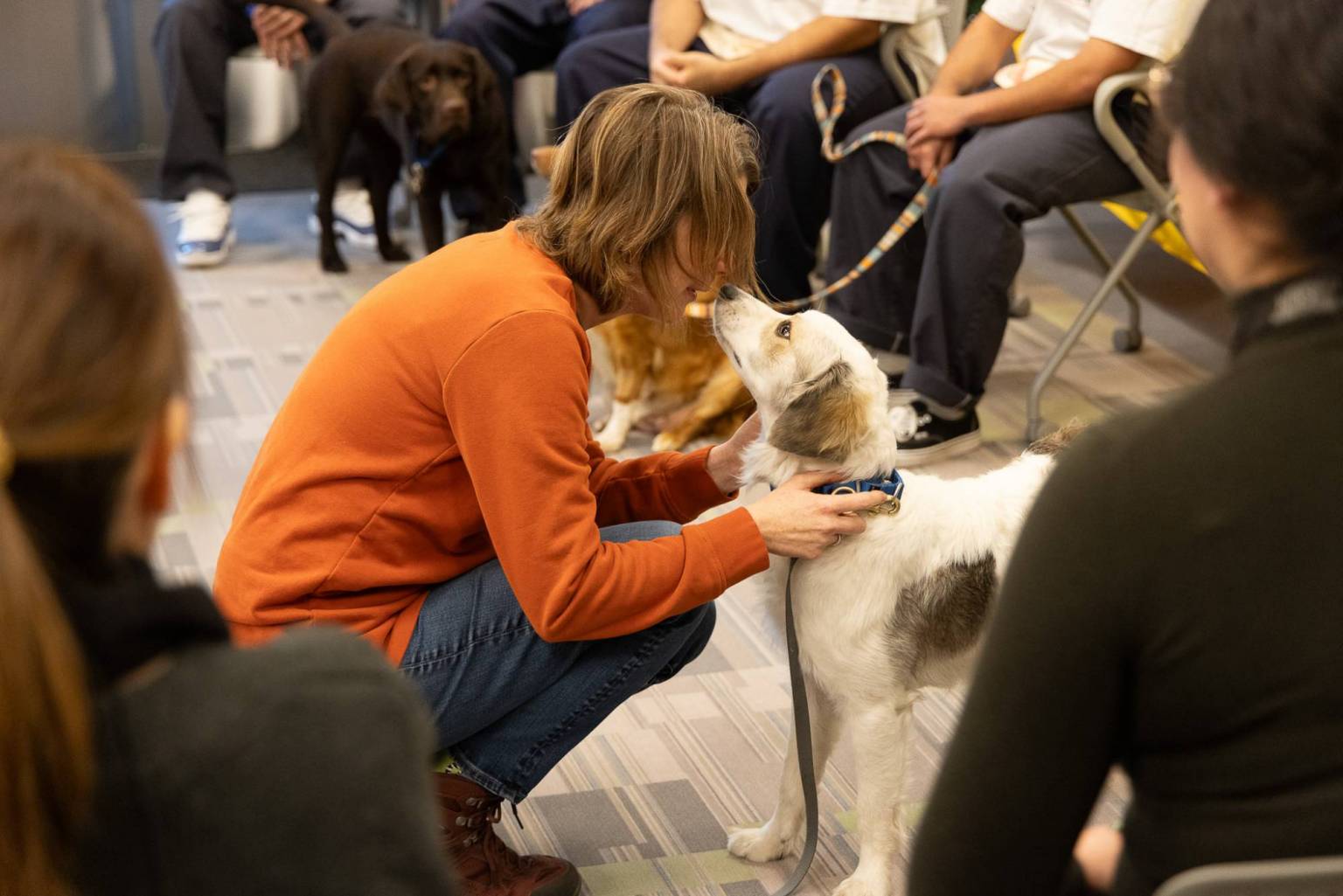 Cell Dogs Graduations | Cell Dogs